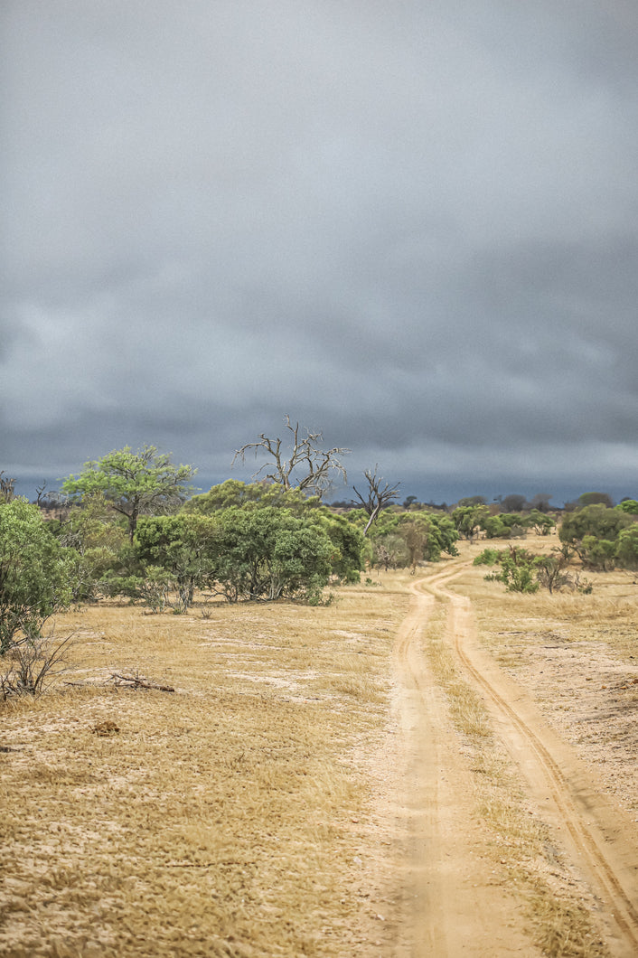 The Road Home, Ngala Reserve
