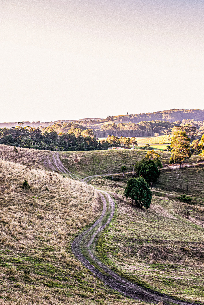 'Kelvin's Lane' Round Mountain, NSW